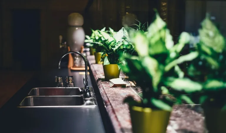 The Simple Sink Organizer That Changed My Kitchen Vibe Completely