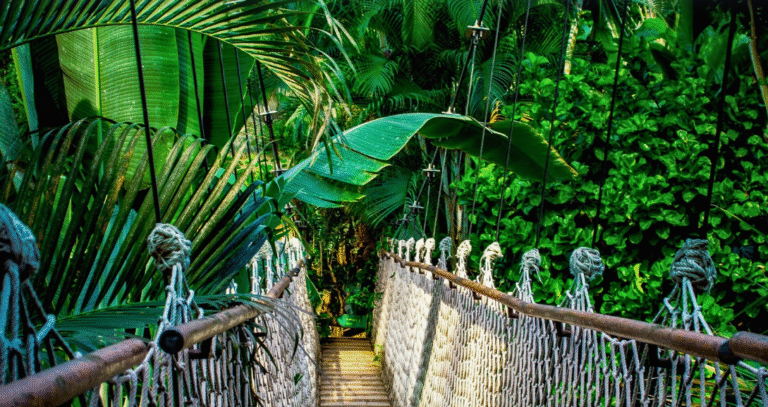 Volunteer in Thailand! Review of IVHQ Program