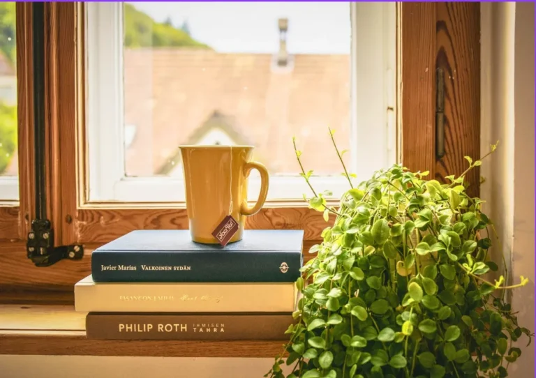 First Apartment Checklist: What You Actually Need (From Someone Who Forgot Toilet Paper on Day One)